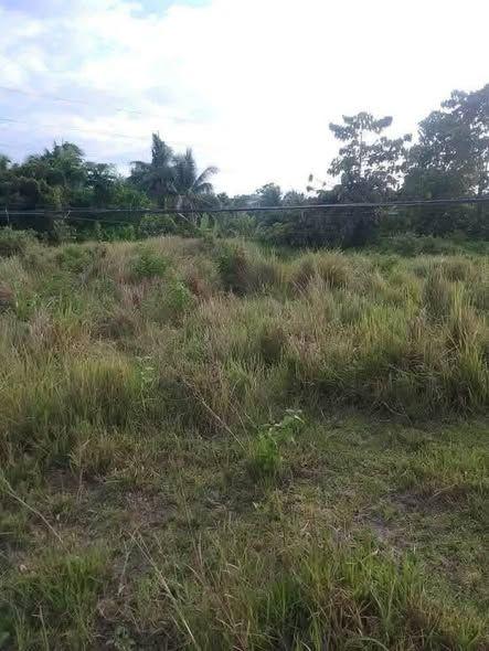 300 sqm Residential Lot for Sale in Launion, Candijay - Across National High School