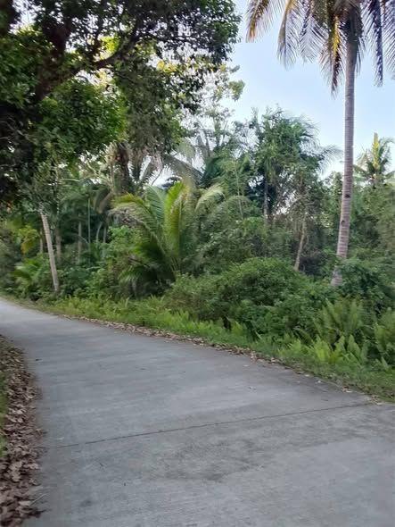 Farmlot for Sale in Concepcion, Loay - 2,090 sqm with Water Source
