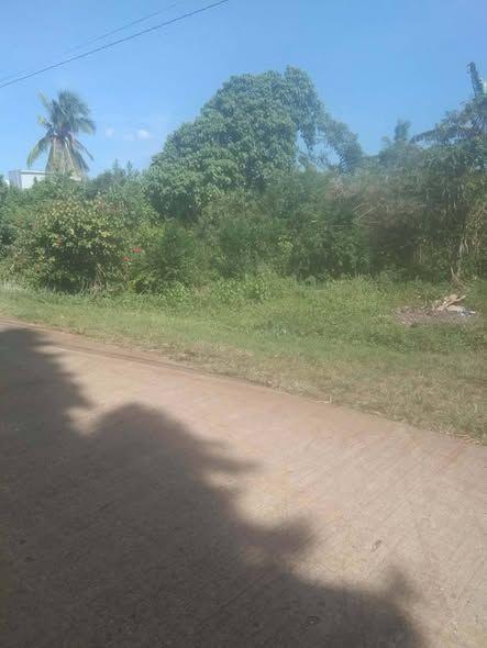 2.2 Hectare Clean Title Land in Panglao