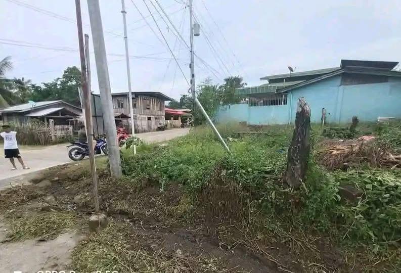 130 sqm Residential Lot for Sale in Anda, Bohol - Near Quinale Beach