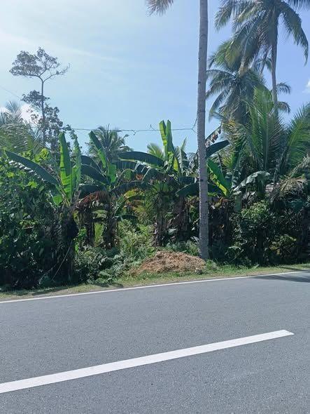Highway Frontage Titled Lot - 3,832 sqm in Catigbian, Bohol