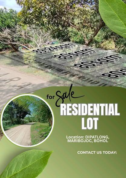 Overlooking Seaview Lot for Sale in Maribojoc, Bohol - Installment Available