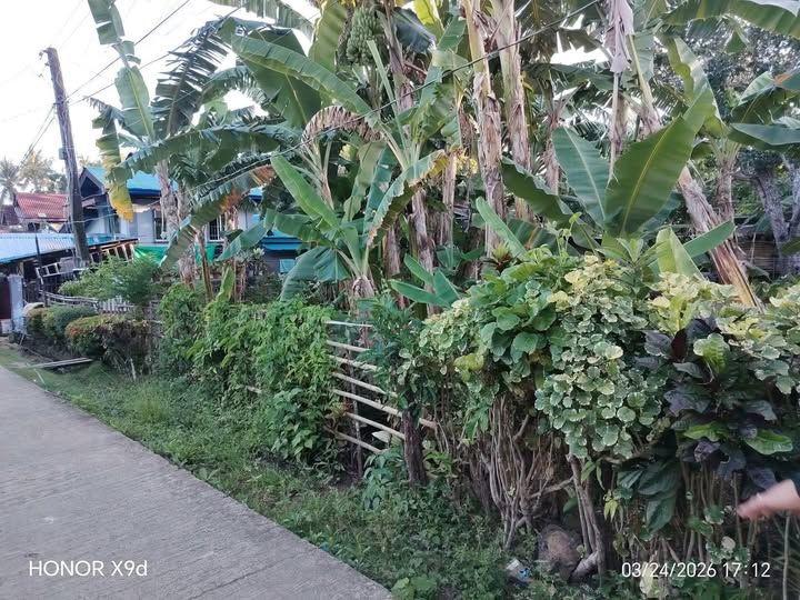 Residential Lot with Utilities - Casica, Anda