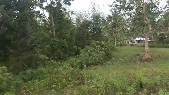 4,829 sqm Residential Farmlot in Bogtongbod, Clarin - Clean Title