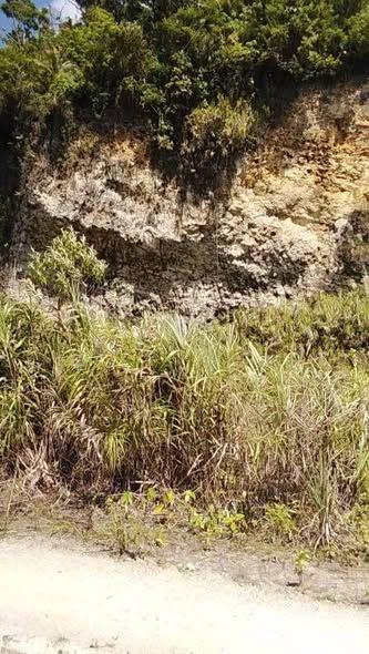 15,680 sqm Quarry-Suitable Lot in San Isidro, Bohol - Tax Dec