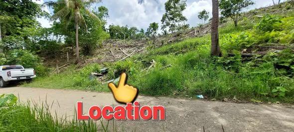 250sqm Residential Lot in Monserat, Cortes - Clean Title, Approved Subdivision
