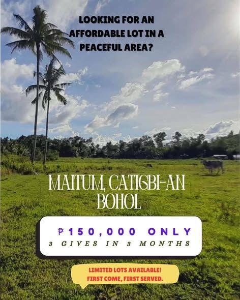 100 sqm Residential Lot for Sale in Maitum, Catigbian - ₱150,000