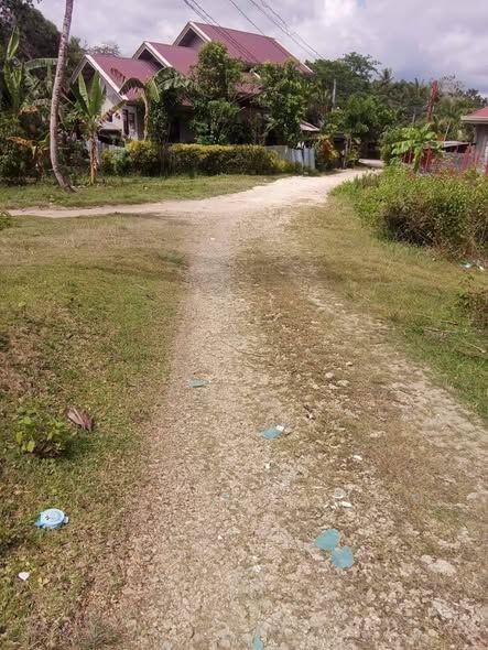 Residential Lot - San Isidro, Tagbilaran City | 346 sqm | 1.2M | Clean Title | Highway Access