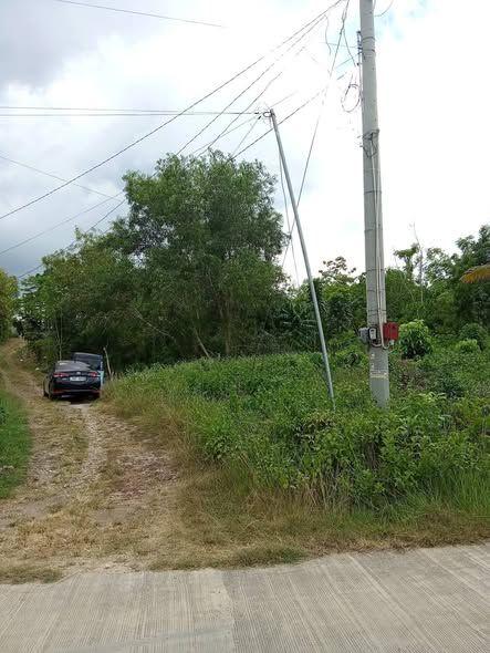 Verify clean title or tax declaration status with agent