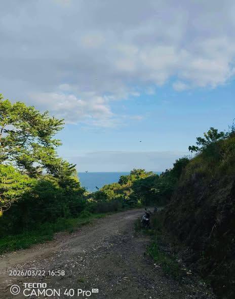 Overlooking Seaview Lot - 3908 sqm in Jagna, Bohol