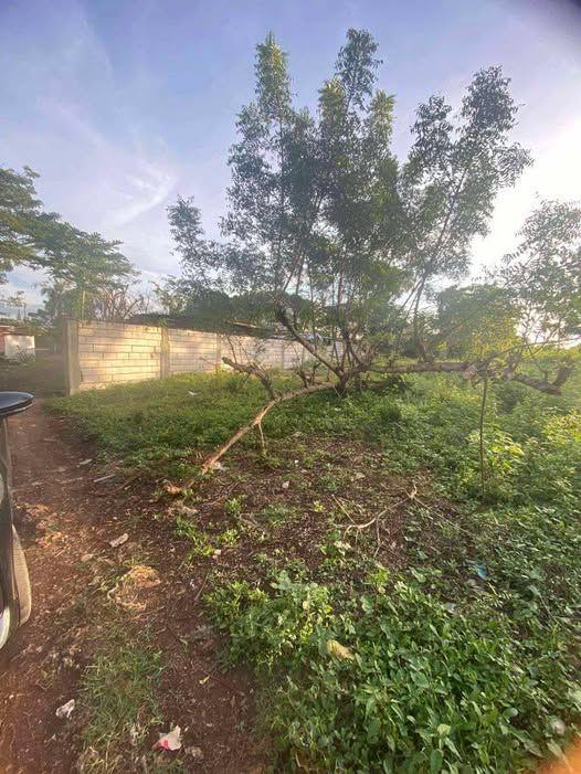 1,991 sqm Beachfront Lot for Sale in Danao, Panglao - Clean Title