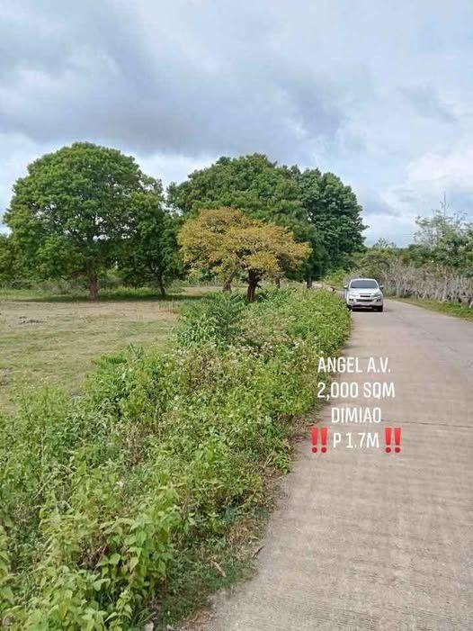2,000 sqm Residential Land in Dimiao, Bohol - P1.7M