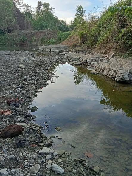 5.1 Hectare Farm Lot for Sale in Dagohoy, Bohol - Clean Title