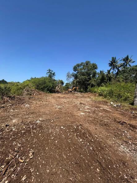 TAX DECLARATION WITH APPROVED SURVEY PLAN