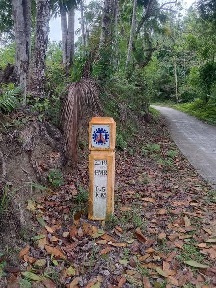 100 sqm Subdivided Lot for Sale in Patrocinio, Cortes - Flexible Payment Terms