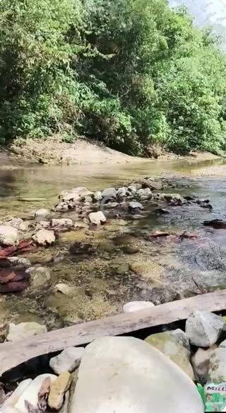 1 Hectare Titled Agricultural Land with Coconut Trees and Water Source - Inabanga, Bohol