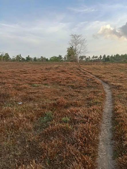 5.1 Hectare Farm Lot for Sale in Dagohoy, Bohol - Clean Title