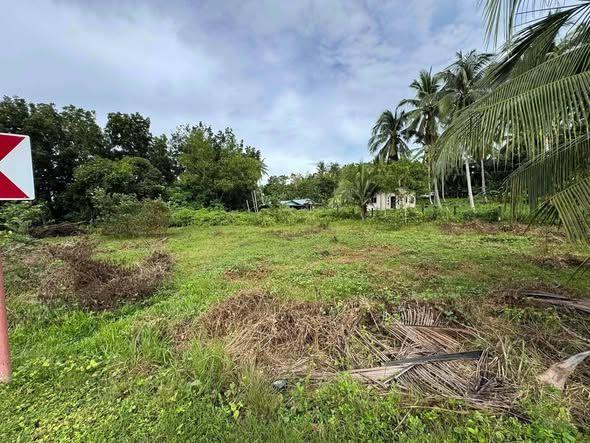 Baclayon Land for Sale - 250sqm Clean Title, Commercial/Residential Use
