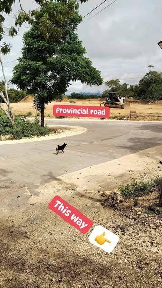 Lot Investment in Cortes, Bohol - 269 sqm Near Hospital & City