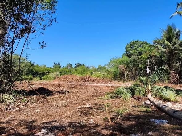 100 sqm Subdivision Lot Near Panglao Airport - Tourism Investment Property