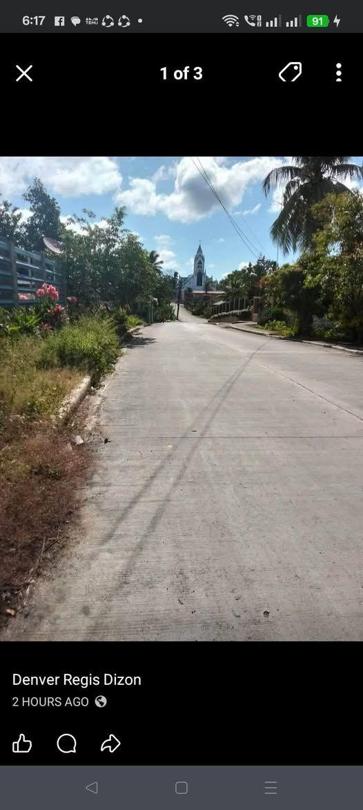 456 sqm Lot in Tagbilaran
