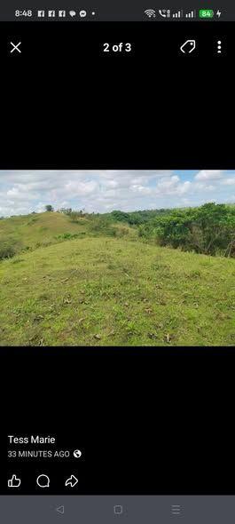 2.4 Hectares Rush Sale Land in Sua, Inabanga