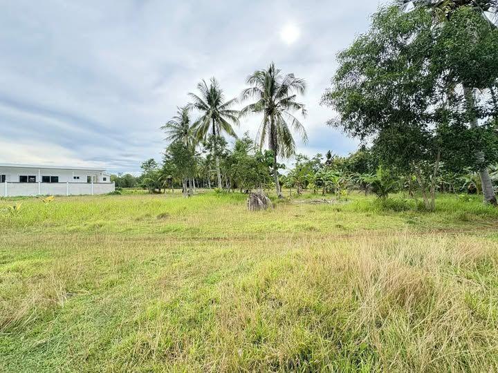 100sqm Lot for Sale in Biking, Dauis - 450K