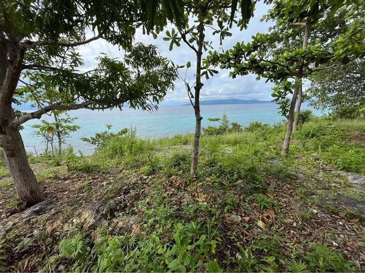 846 sqm Beachfront Cliff Lot for Sale in Dauis, Bohol