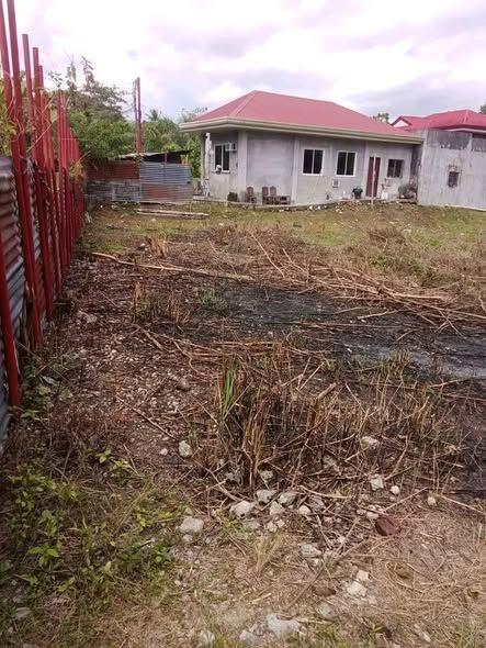 346 sqm Residential Lot for Sale in San Isidro, Tagbilaran - Clean Title