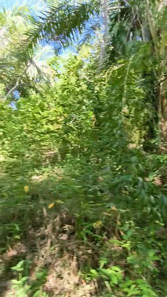 Overlooking Agricultural Lot for Sale - Union, Ubay, Bohol