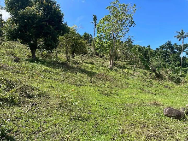 Overlooking Seaview Land for Sale in Ubojan, Tubigon, Bohol