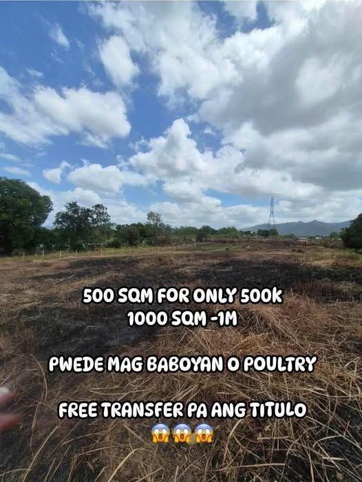 500 sqm Agricultural Lot - Ideal for Piggery/Poultry - Free Title Transfer