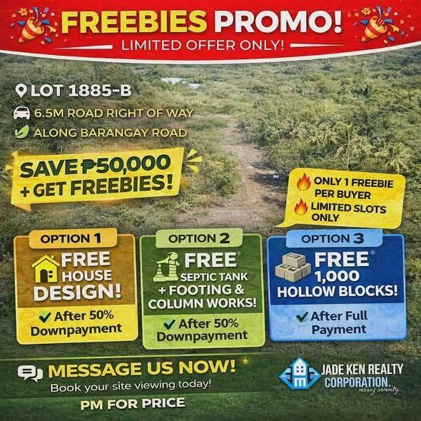 Panglao Land for Sale - Bil-isan Lots from 100sqm at ₱10K/sqm