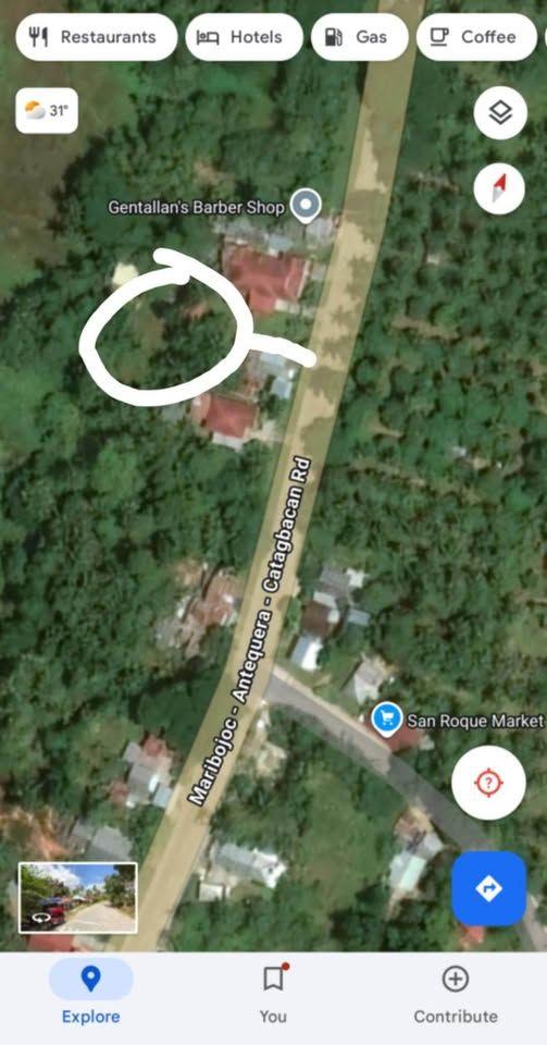 358 sqm Residential Lot for Sale in San Roque, Maribojoc - Clean Title