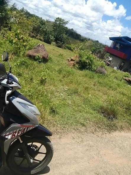 1,084 sqm Titled Residential Lot - Calanggaman, Ubay, Bohol