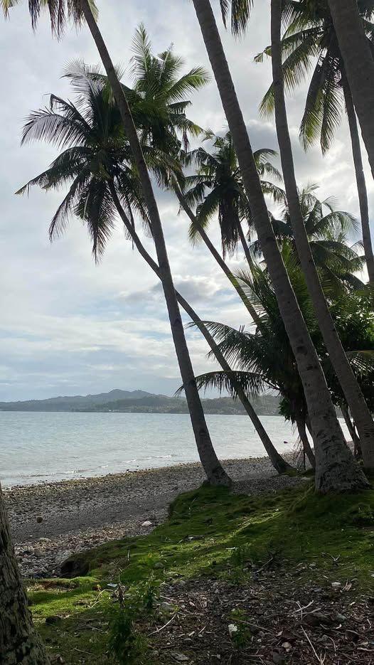 Beach lot in Duero, Bohol - 1,155 sqm Mixed-Use Property