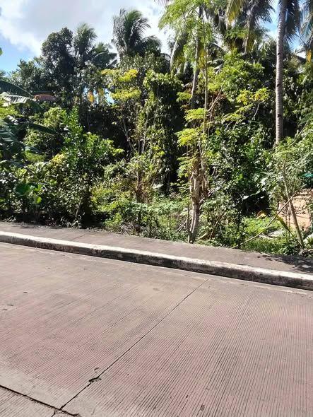 456 sqm Titled Lot for Sale in Tiptip, Tagbilaran City - ₱5,000/sqm