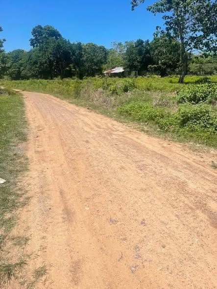 200 sqm Flat Lot for Sale in Bood, Ubay - Near National Highway