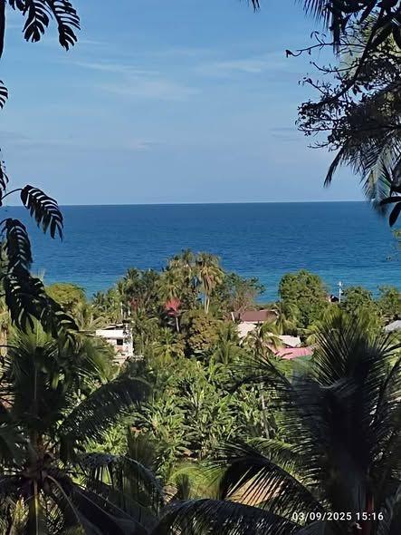 Overlooking Land Lot in Mawi, Duero - 4,246 sqm Along Provincial Road