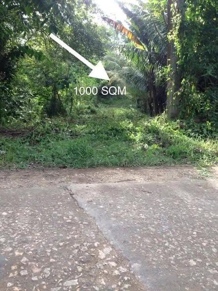 1000sqm Residential Lot with Clean Title in San Isidro, Tagbilaran - Near Highway & Market